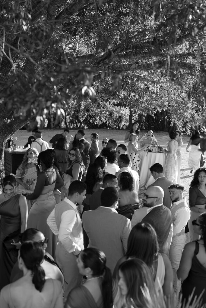 cocktail hour after the wedding at Lavender on the Lake, a wedding venue in Florida