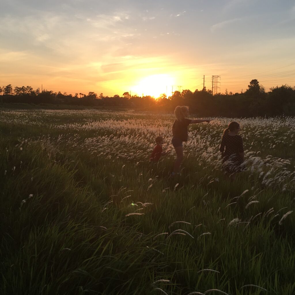 children seeking joy in a field of grasses at sunset